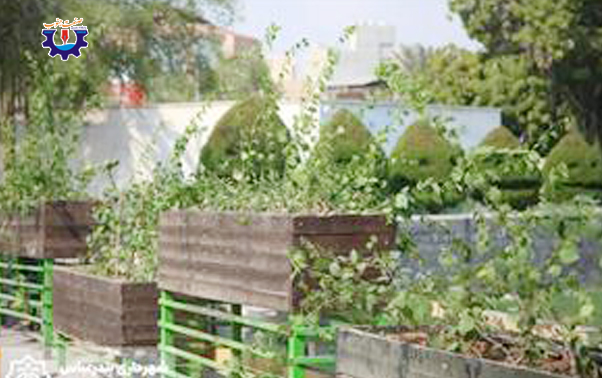 پل‌ خور گورسوزان با گل طبیعی تزئین شد